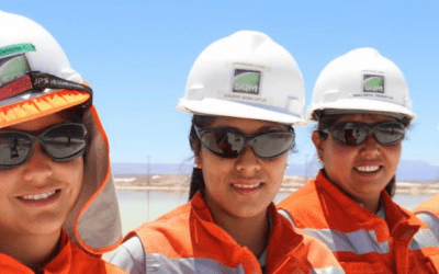 Esta es la sociedad por acciones (SpA) más grande de Chile