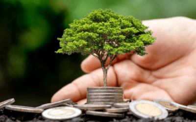 Sostenibilidad en las pymes chilenas: Clave para el éxito