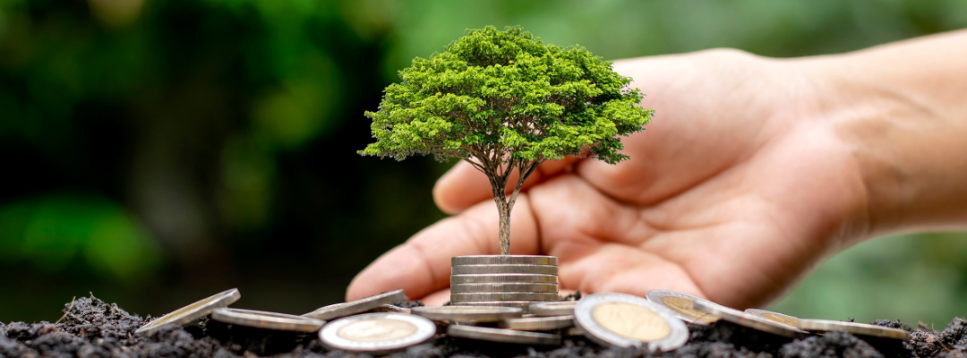 Sostenibilidad en las pymes chilenas: Clave para el éxito